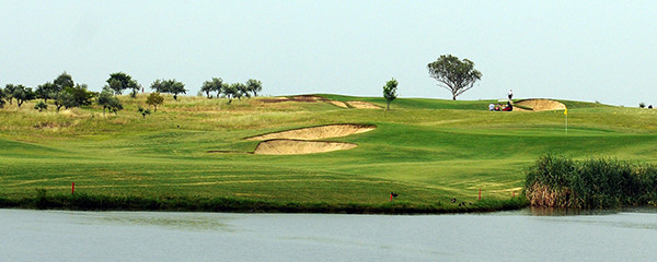Longyard Golf
